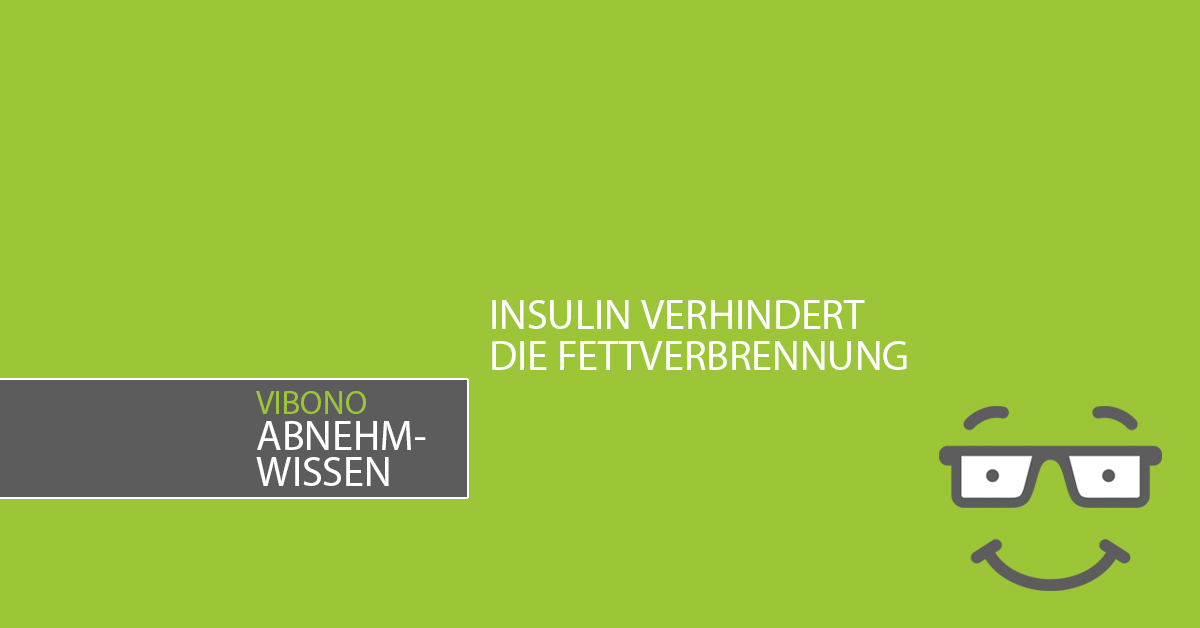 Insulin verhindert die Fettverbrennung