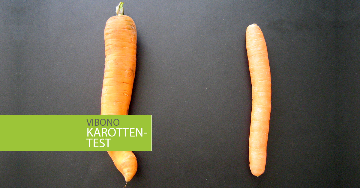 Der Karottentest