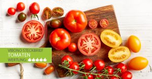 Tomaten-Steckbrief