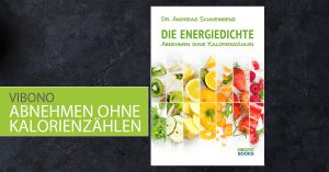 Energiedichte E-Book